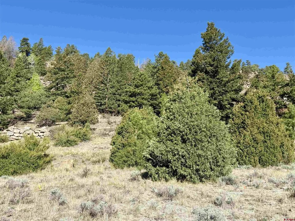 1280 Rio Grande Club Trail South Fork, CO 81154