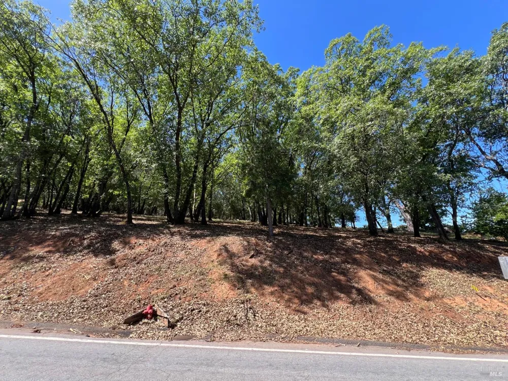 3057 Riviera Heights Drive Kelseyville, CA 95451
