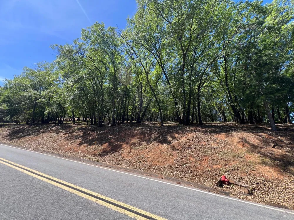 3057 Riviera Heights Drive Kelseyville, CA 95451