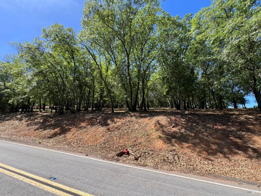 3057 Riviera Heights Drive Kelseyville, CA 95451