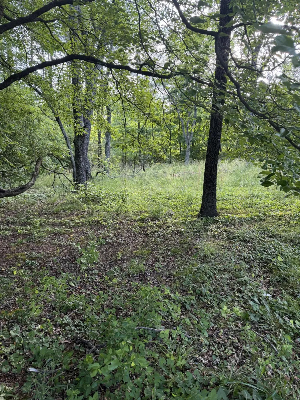 86 Hidden Hills Drive Dayton, TN 37321