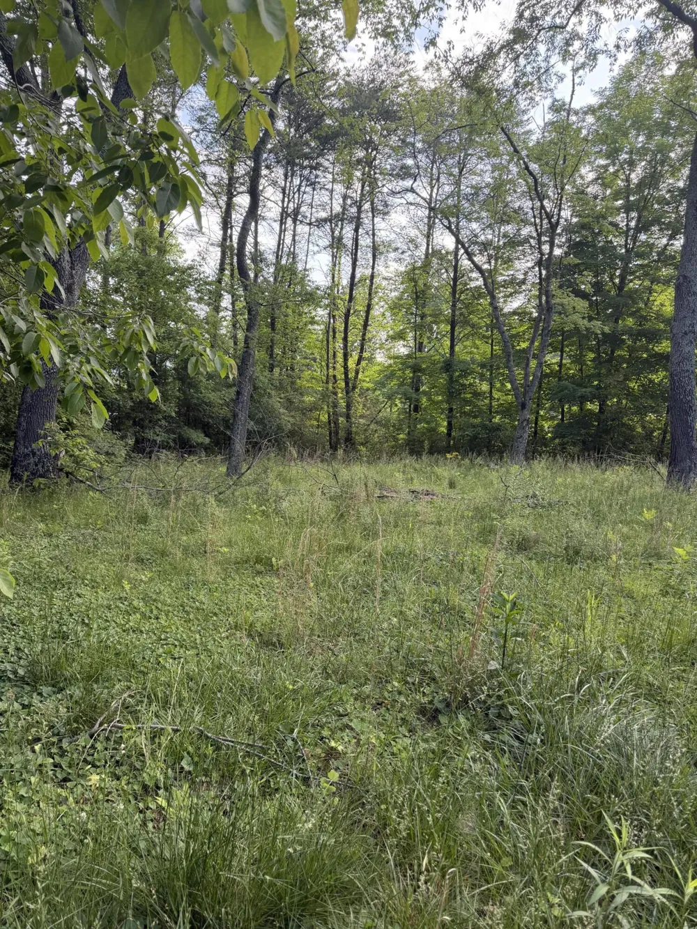 86 Hidden Hills Drive Dayton, TN 37321