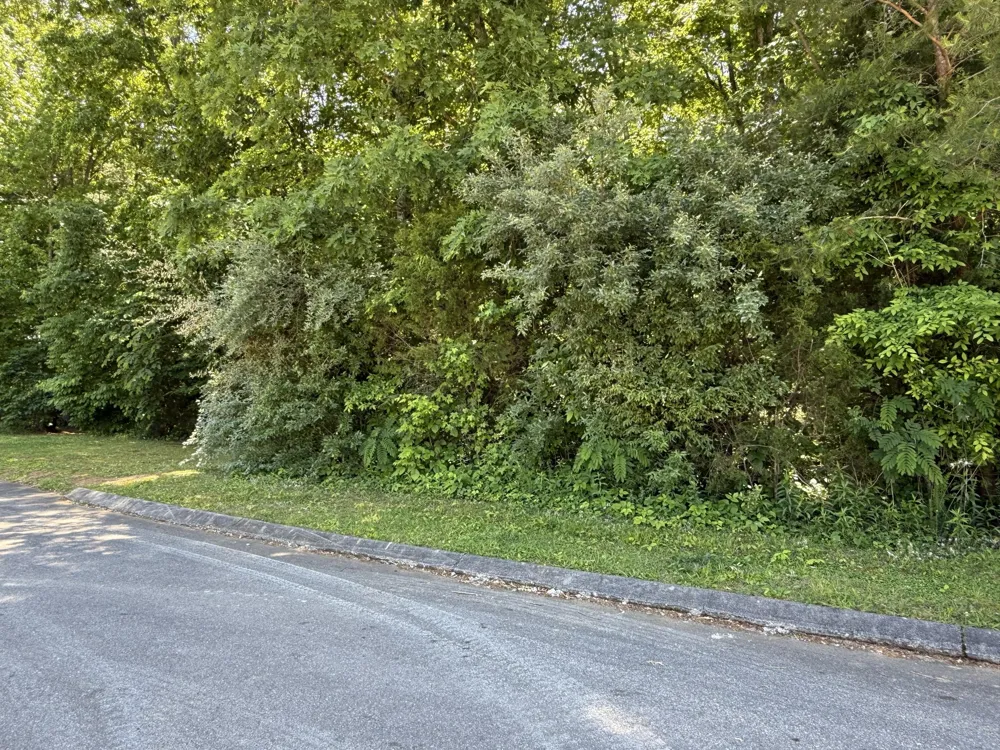 194 Elm Street Decatur, TN 37322