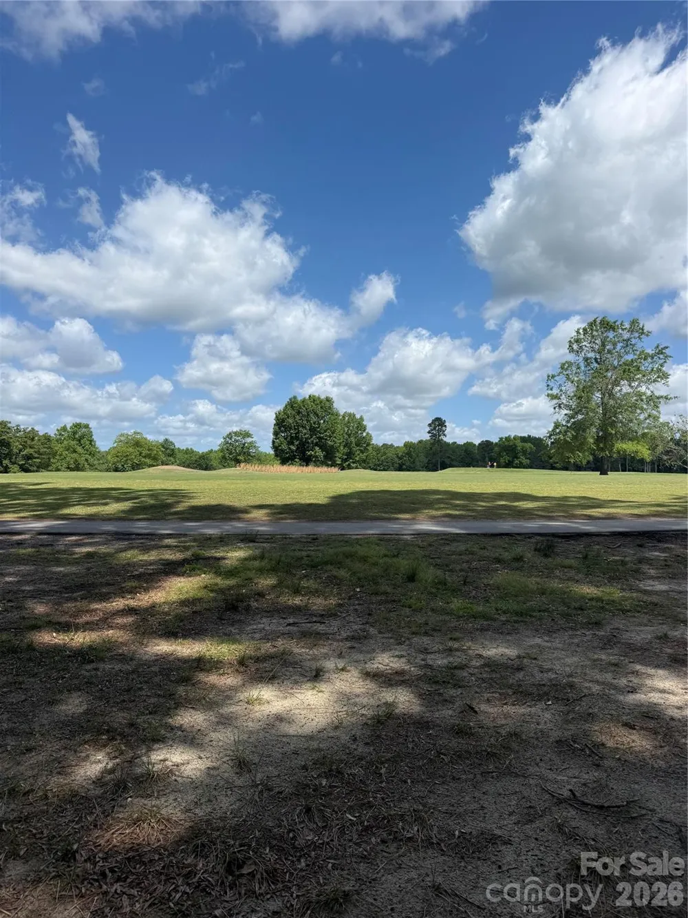 TBD Fairway Lane Pageland, SC 29728