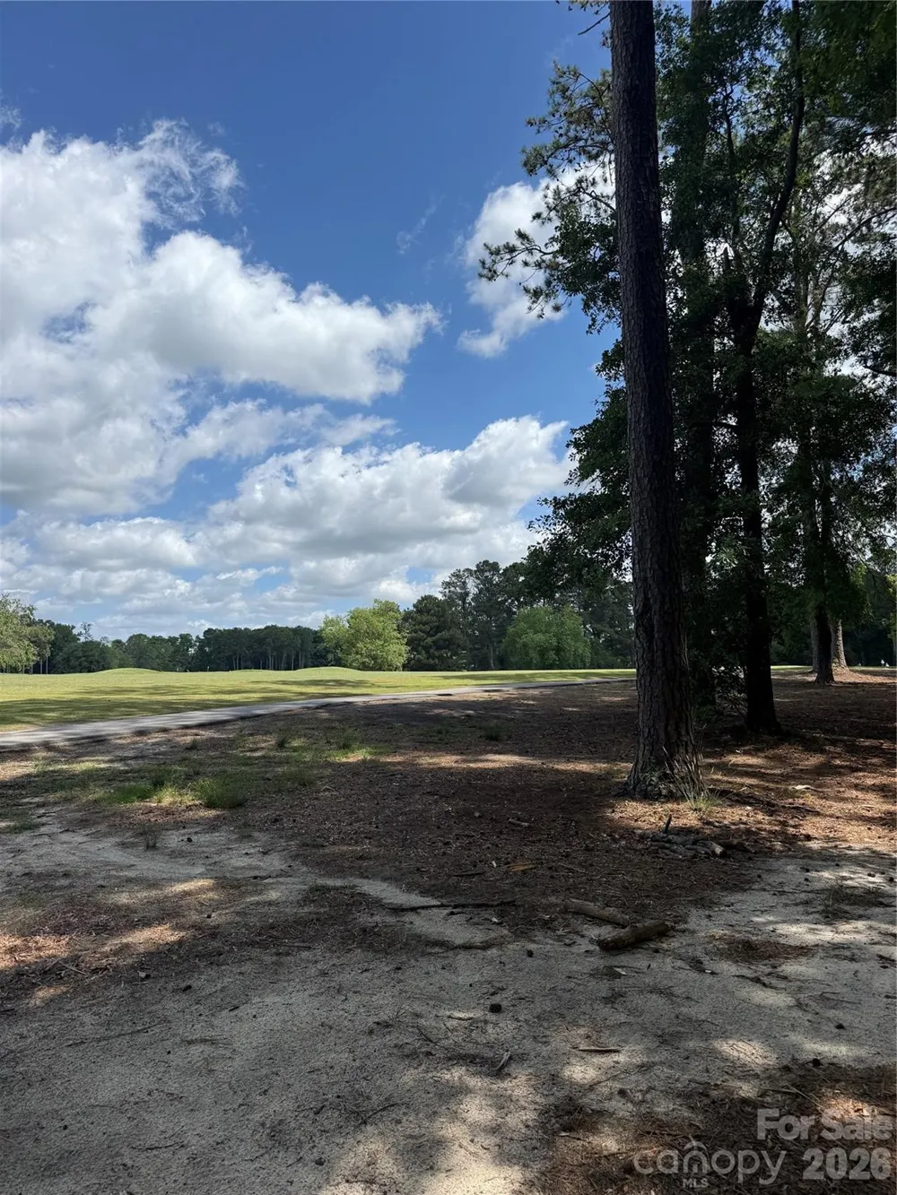 TBD Fairway Lane Pageland, SC 29728