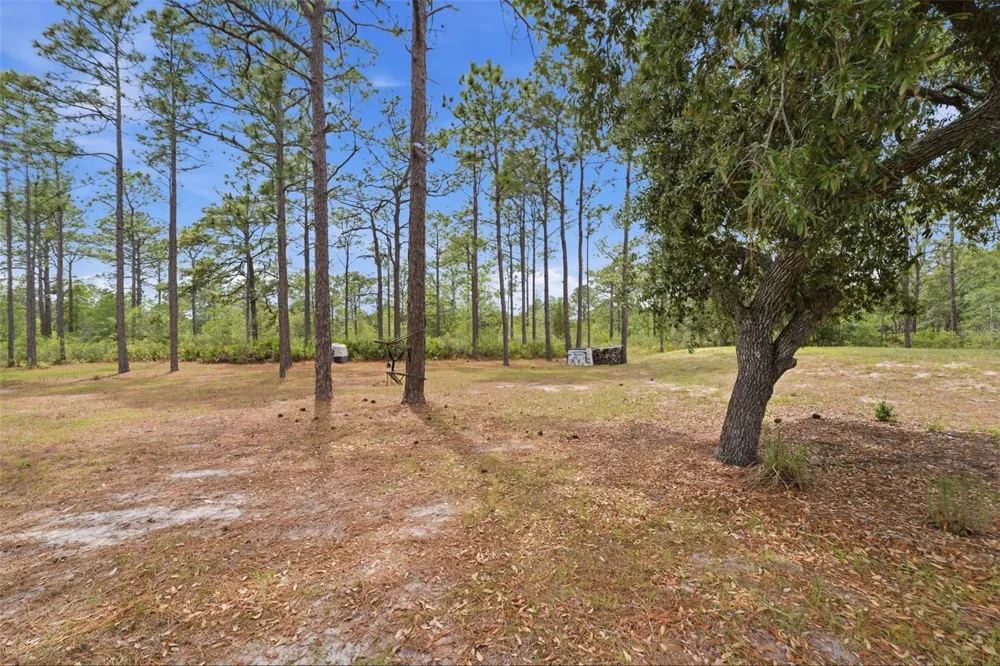 18043 PALMDALE ROAD Weeki Wachee, FL 34614