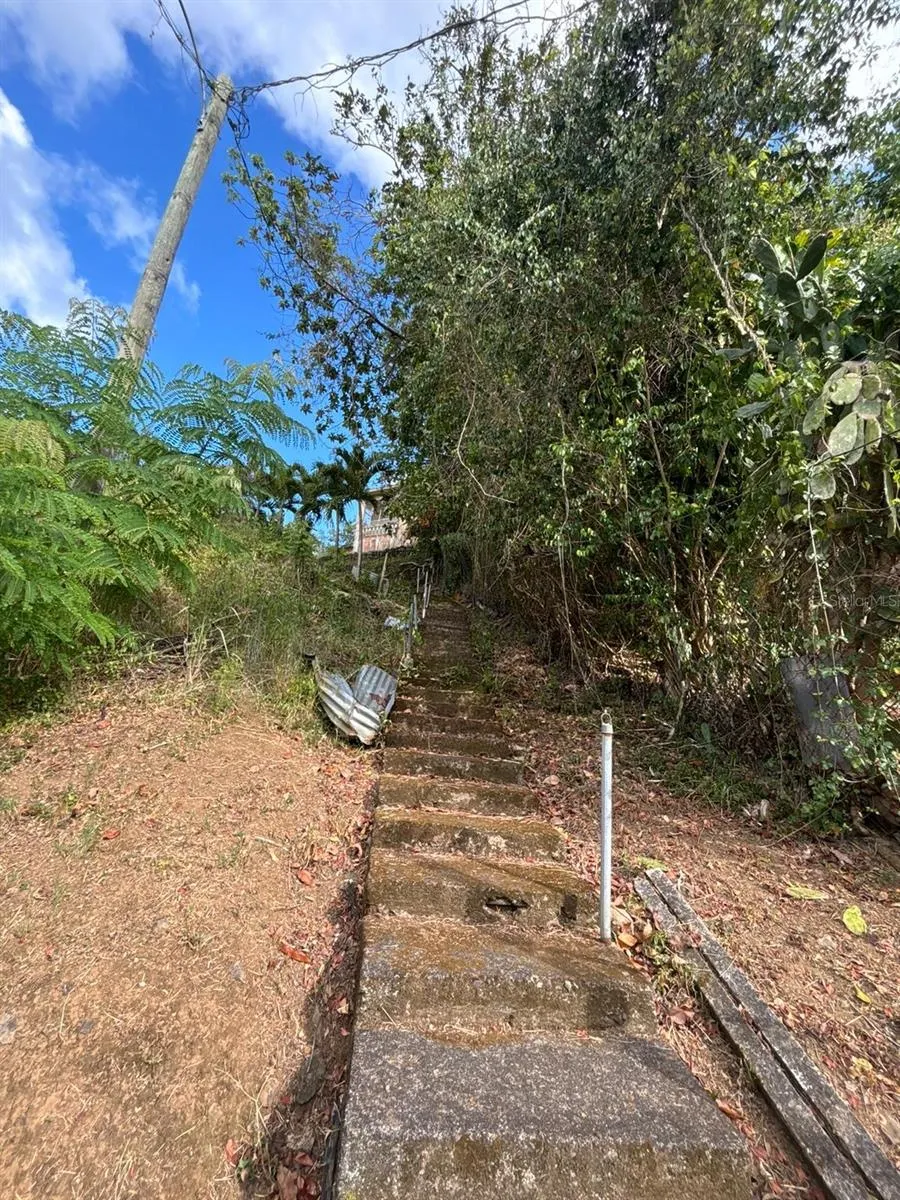 753 CARR. 753 KM HM 2.9 BO CACAO Patillas, PR 00723