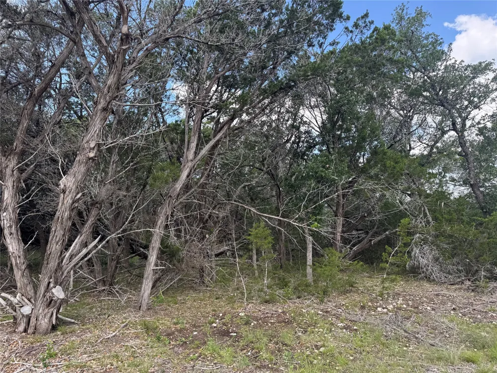 37 Riparian Elm Road Bertram, TX 78605