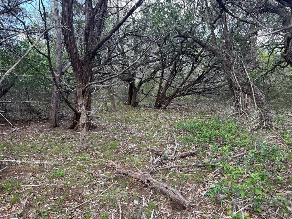 37 Riparian Elm Road Bertram, TX 78605