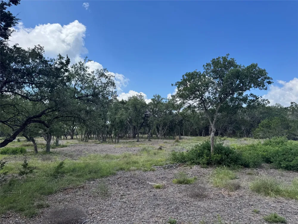 37 Riparian Elm Road Bertram, TX 78605