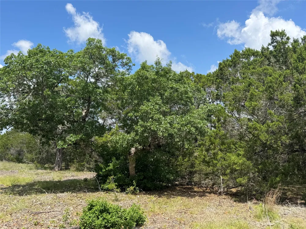 37 Riparian Elm Road Bertram, TX 78605