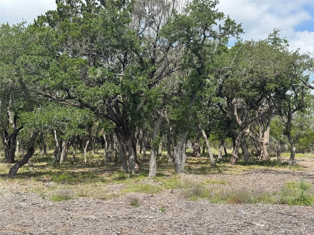 37 Riparian Elm Road Bertram, TX 78605