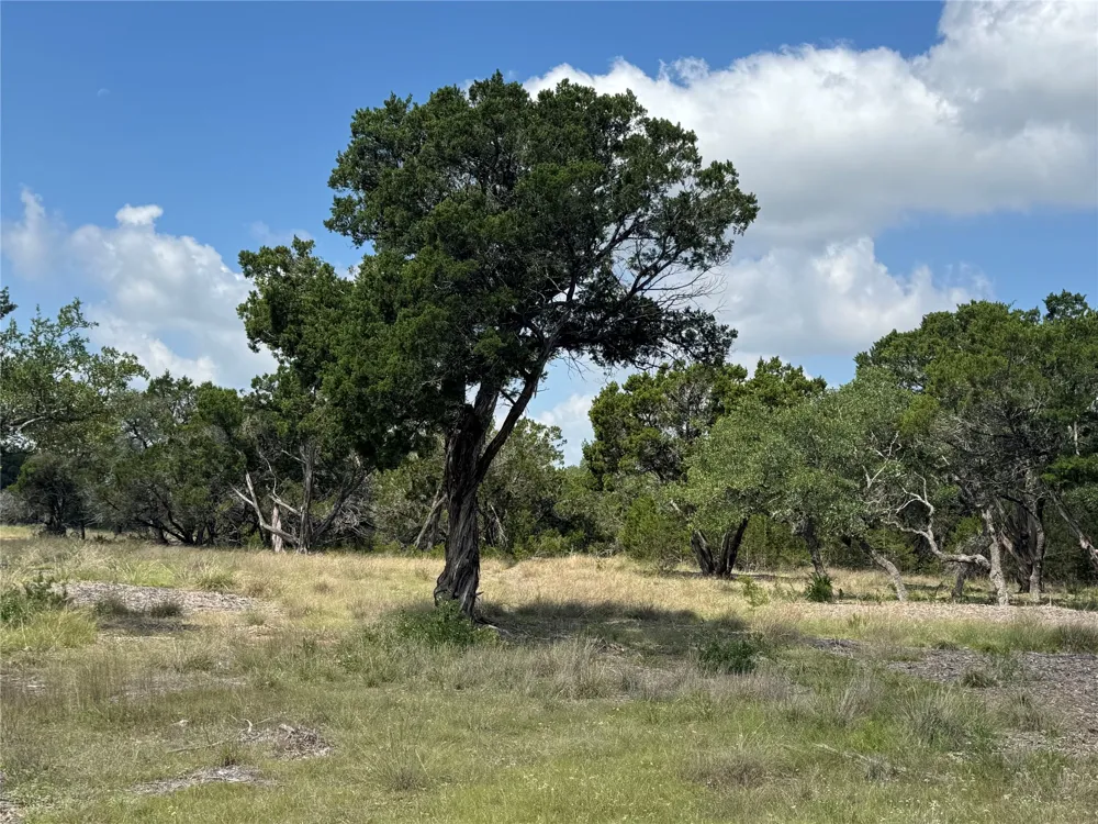 37 Riparian Elm Road Bertram, TX 78605