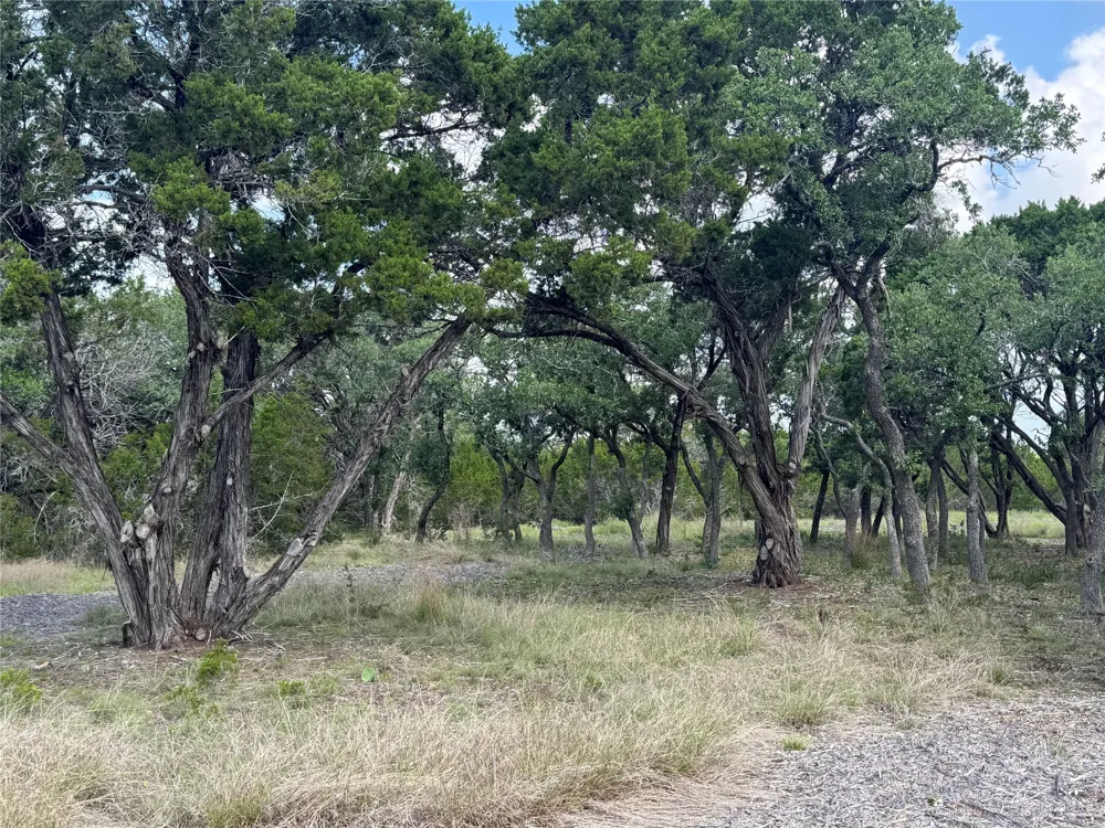 37 Riparian Elm Road Bertram, TX 78605