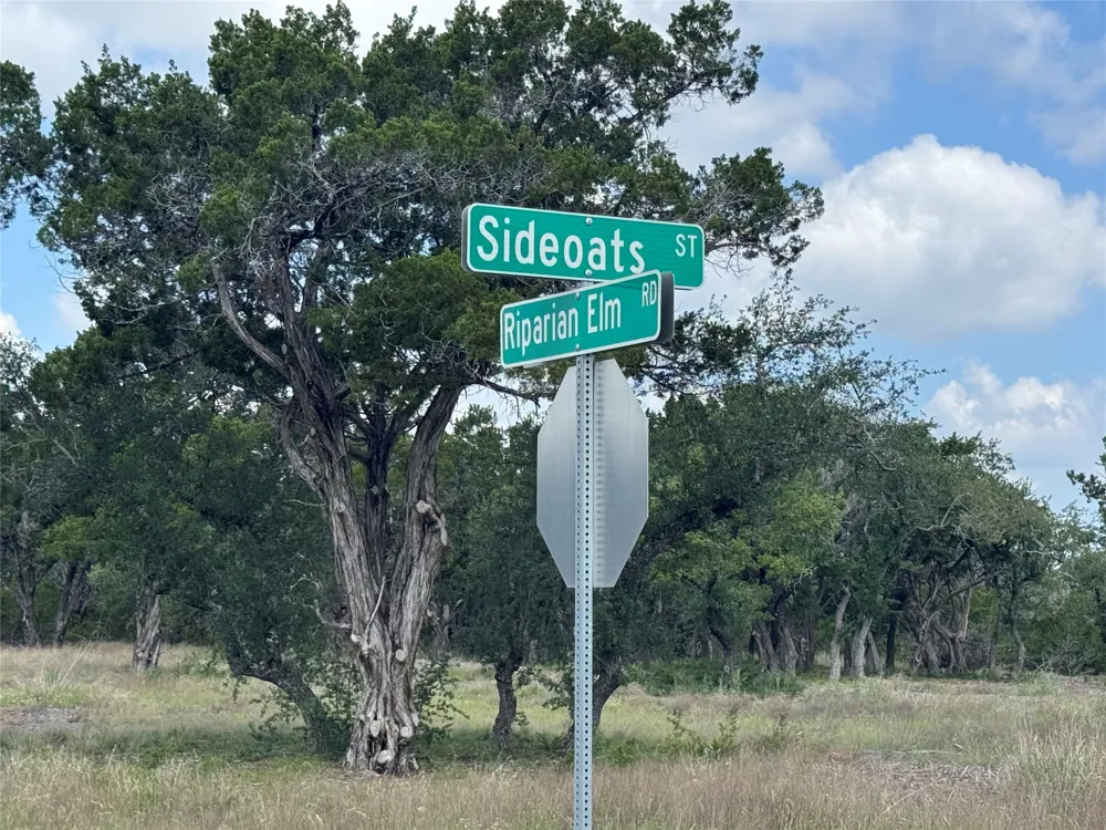 37 Riparian Elm Road Bertram, TX 78605