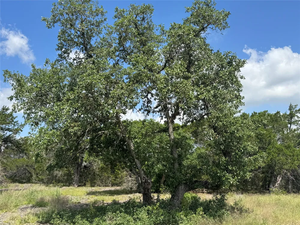 37 Riparian Elm Road Bertram, TX 78605