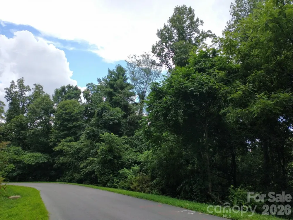 197 Starling Pass Asheville, NC 28804