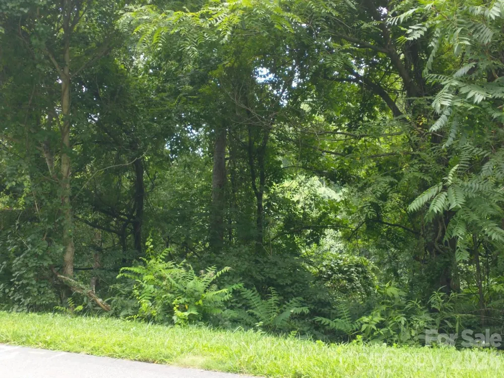 197 Starling Pass Asheville, NC 28804