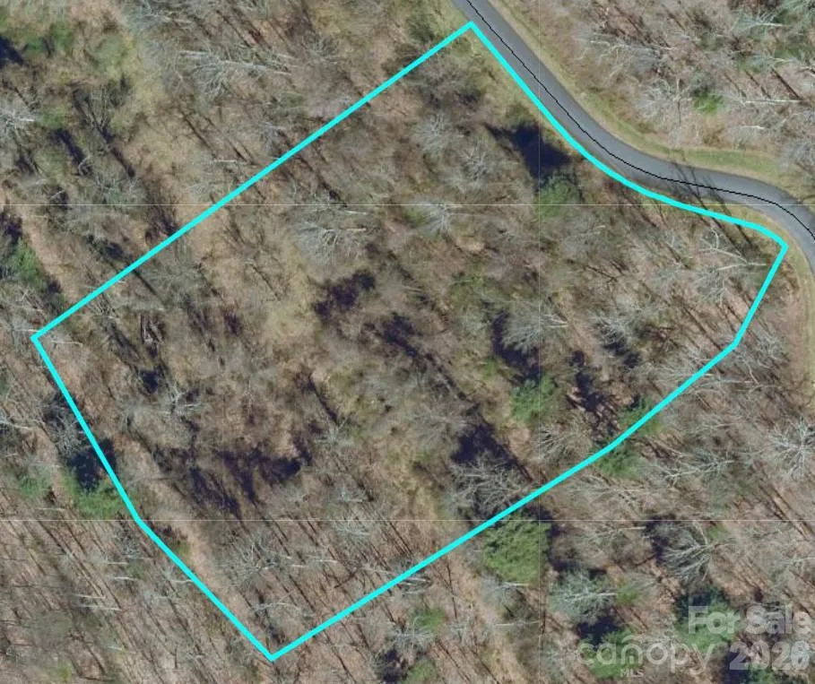 197 Starling Pass Asheville, NC 28804