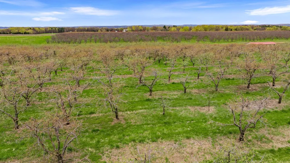 17835 Center Road Peninsula Township, MI 49686