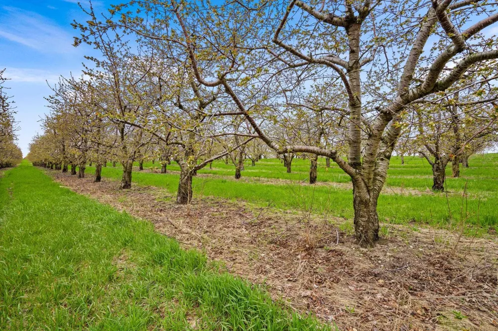 17835 Center Road Peninsula Township, MI 49686