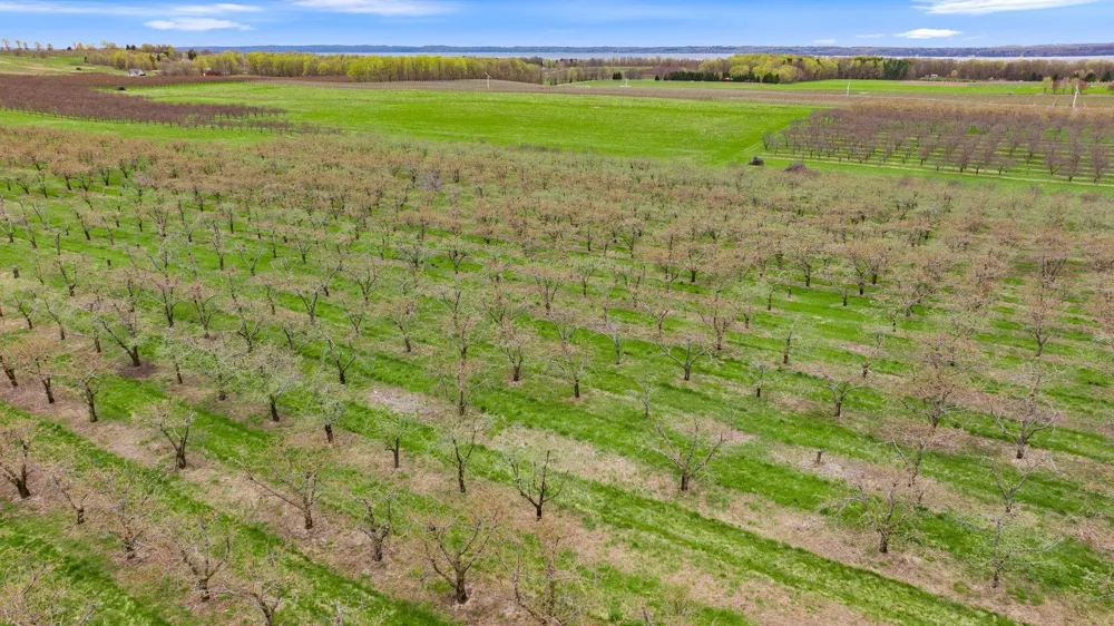 17835 Center Road Peninsula Township, MI 49686