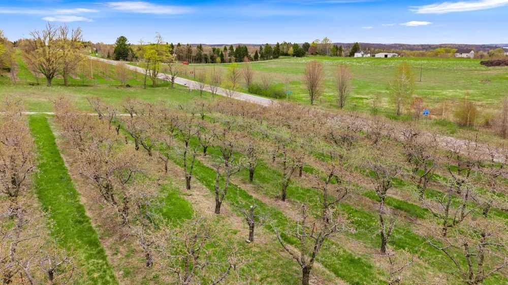 17835 Center Road Peninsula Township, MI 49686