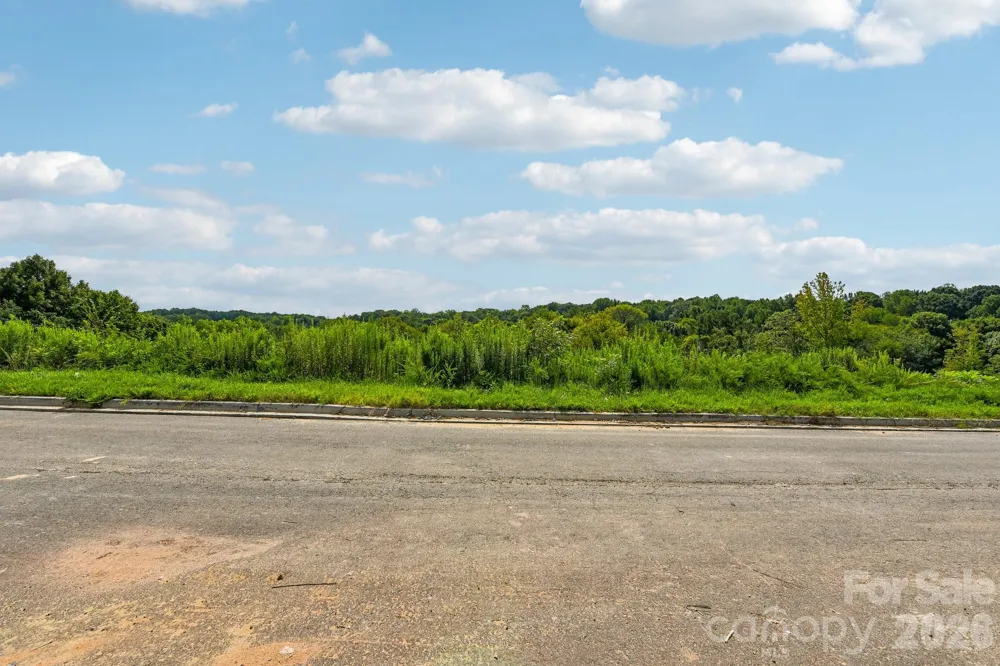 8687 Miles Gap Road Indian Land, SC 29707