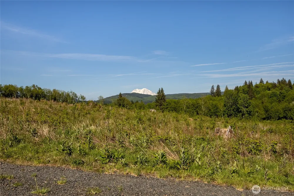 195 -82 Hagen Road Mossyrock, WA 98564