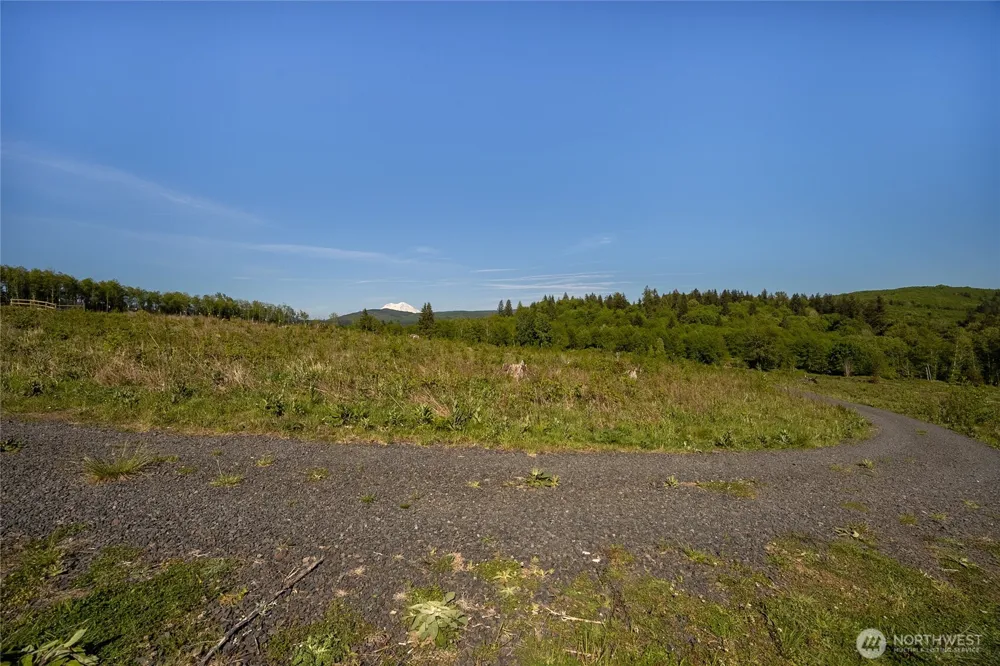 195 -82 Hagen Road Mossyrock, WA 98564