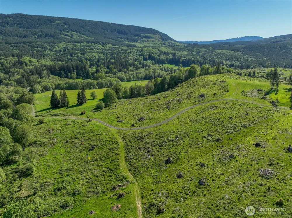 195 -82 Hagen Road Mossyrock, WA 98564