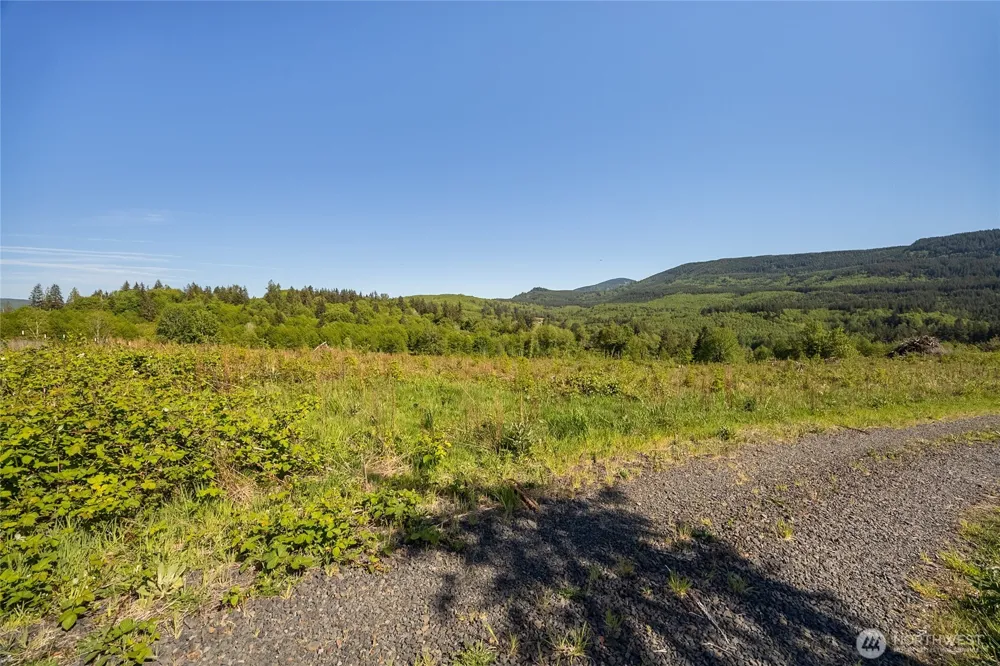 195 -82 Hagen Road Mossyrock, WA 98564
