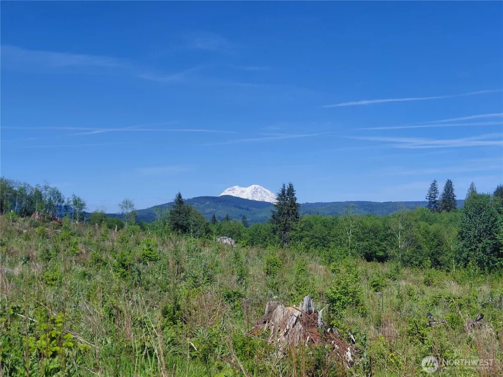 195 -82 Hagen Road Mossyrock, WA 98564