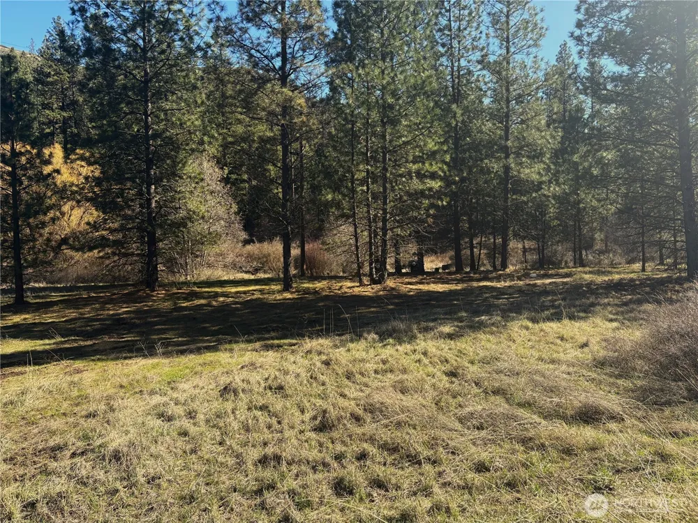 32900 Hawk Creek Ranch Rd Davenport, WA 99122