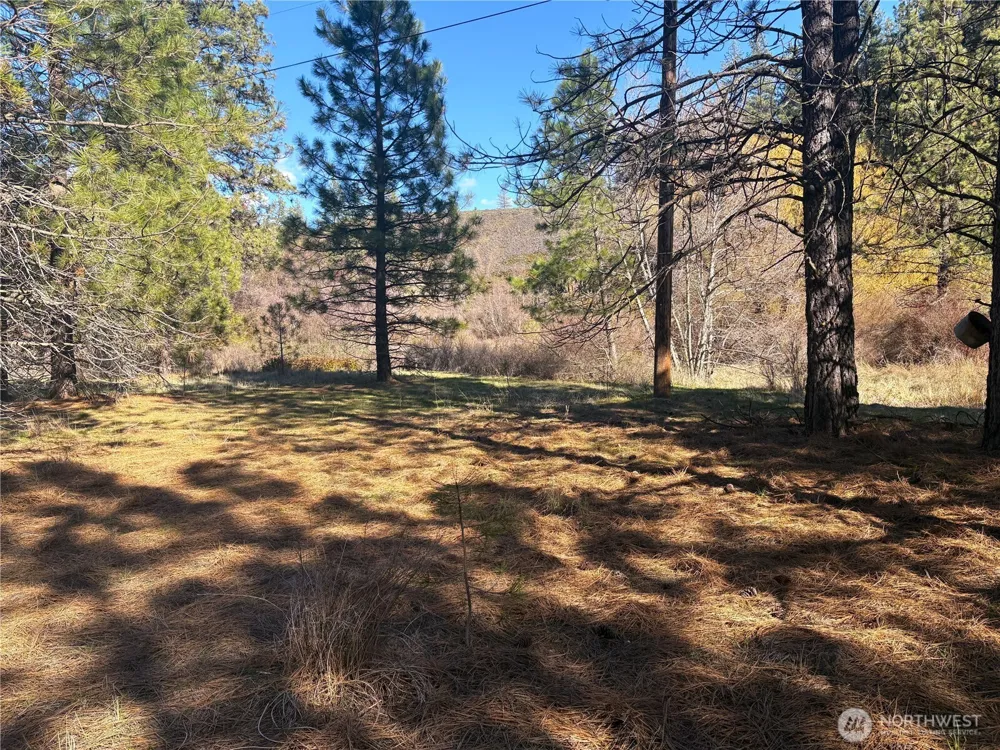 32900 Hawk Creek Ranch Rd Davenport, WA 99122