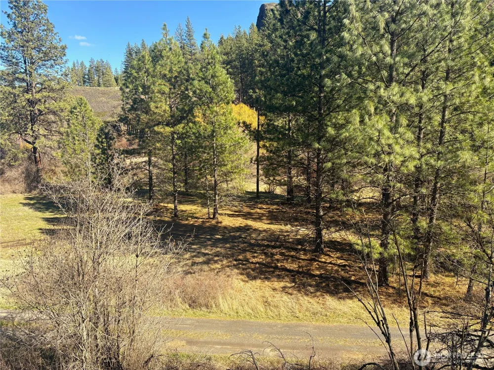 32900 Hawk Creek Ranch Rd Davenport, WA 99122