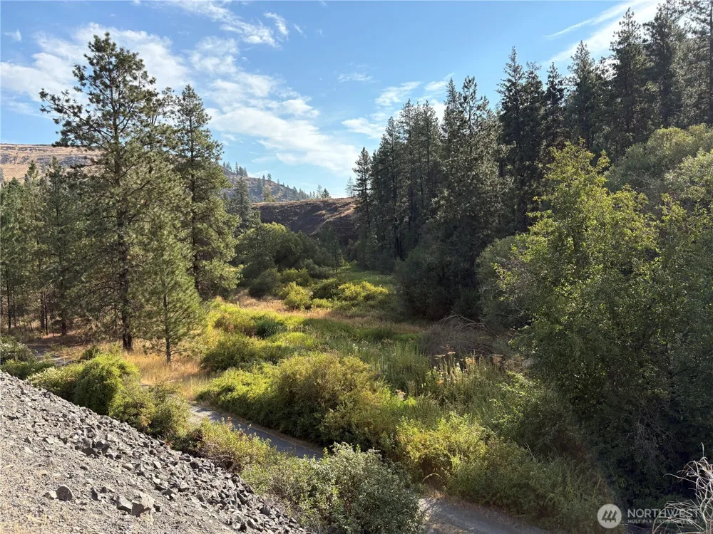 32900 Hawk Creek Ranch Rd Davenport, WA 99122