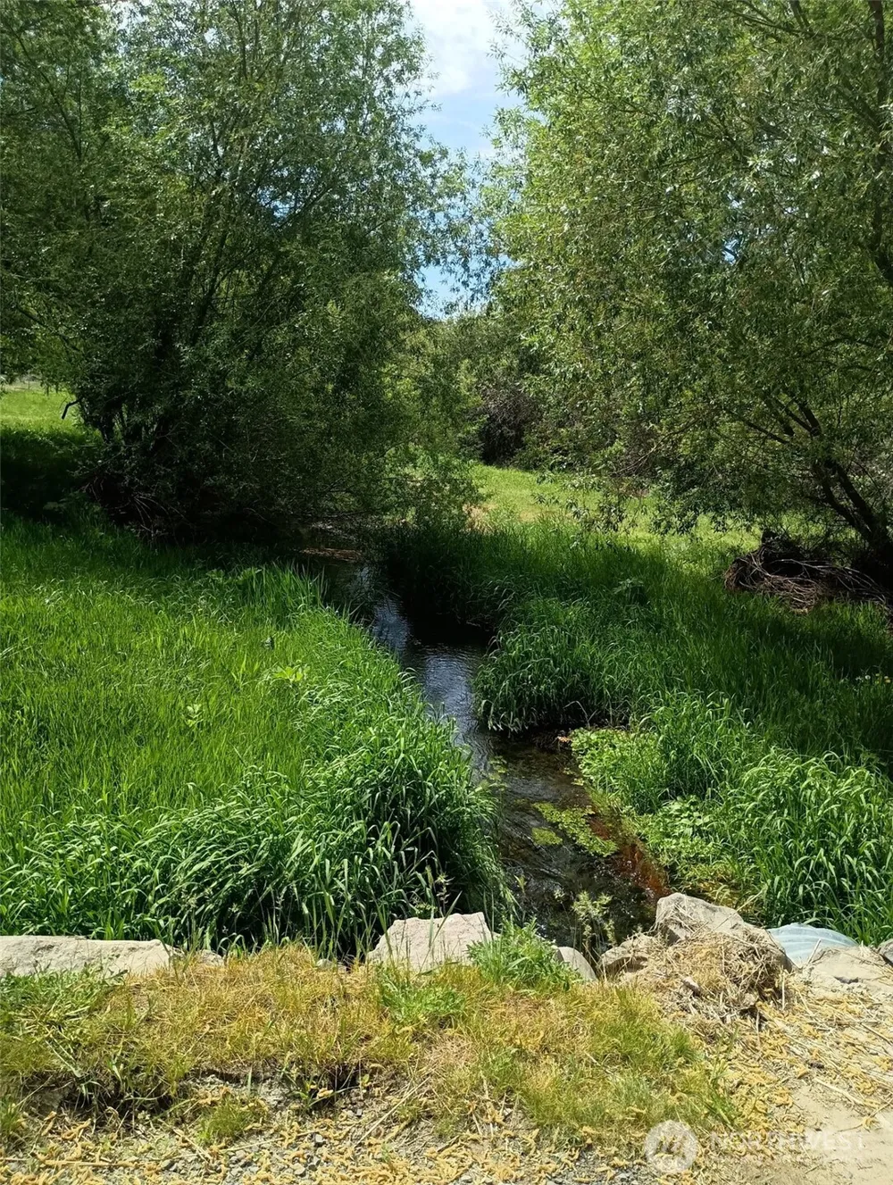 32900 Hawk Creek Ranch Rd Davenport, WA 99122