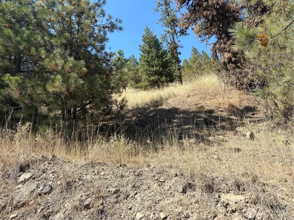 32900 Hawk Creek Ranch Rd Davenport, WA 99122
