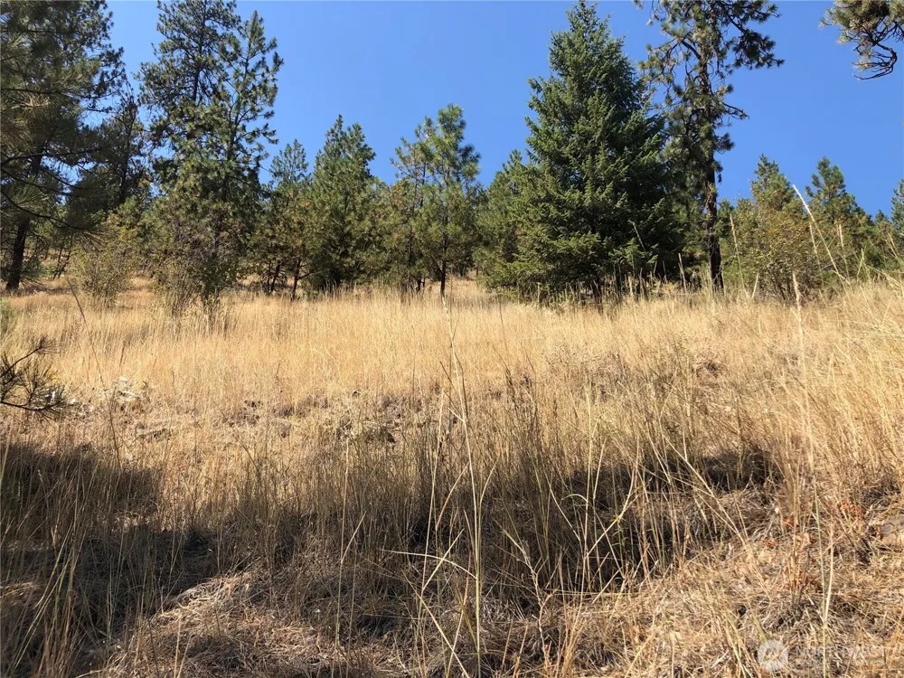 32900 Hawk Creek Ranch Rd Davenport, WA 99122