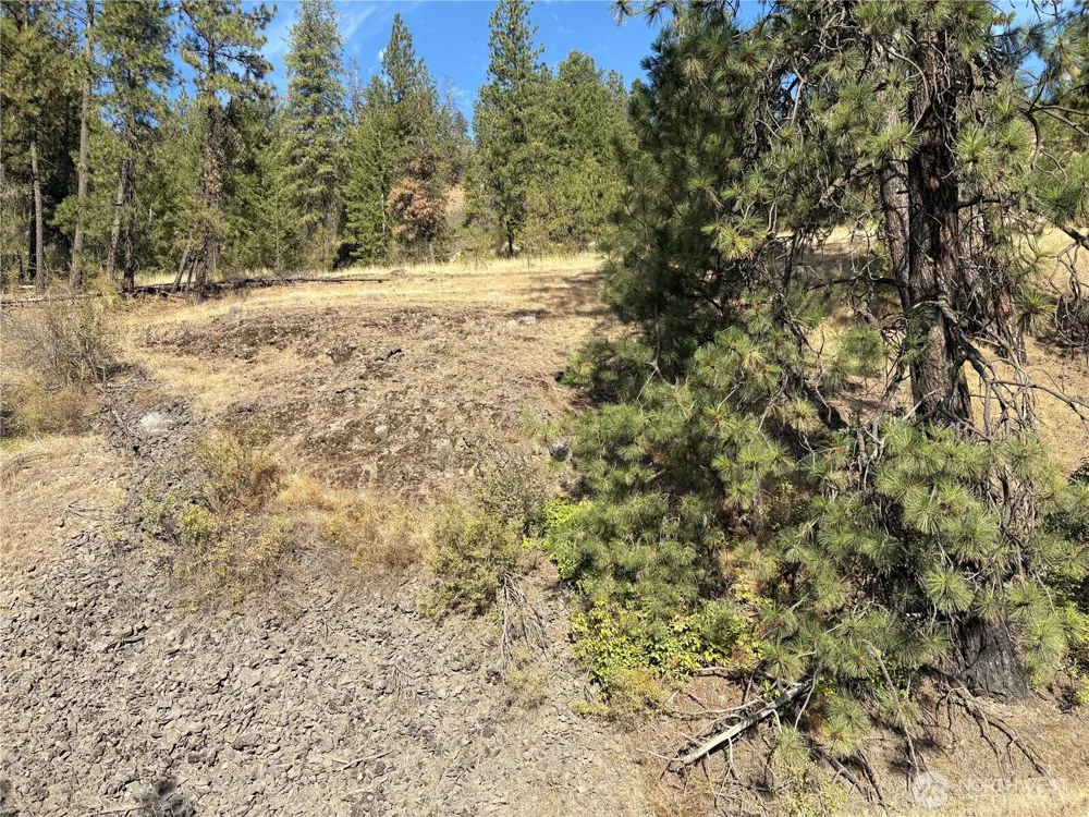 32900 Hawk Creek Ranch Rd Davenport, WA 99122