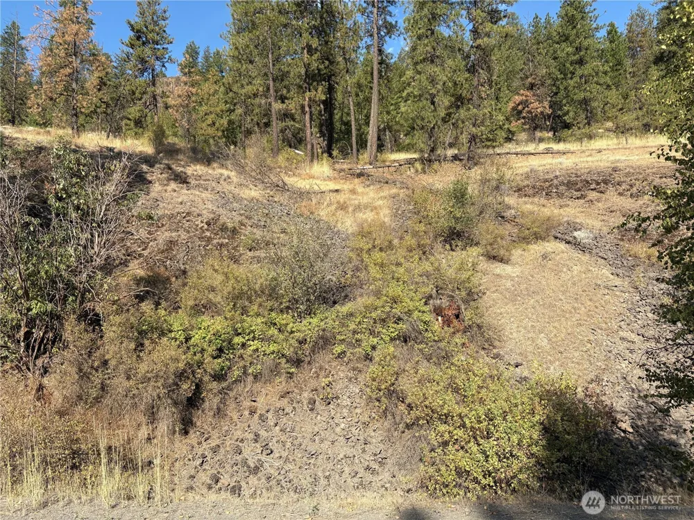 32900 Hawk Creek Ranch Rd Davenport, WA 99122