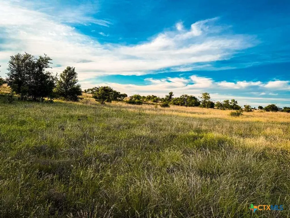 CR 96 Purmela, TX 76566
