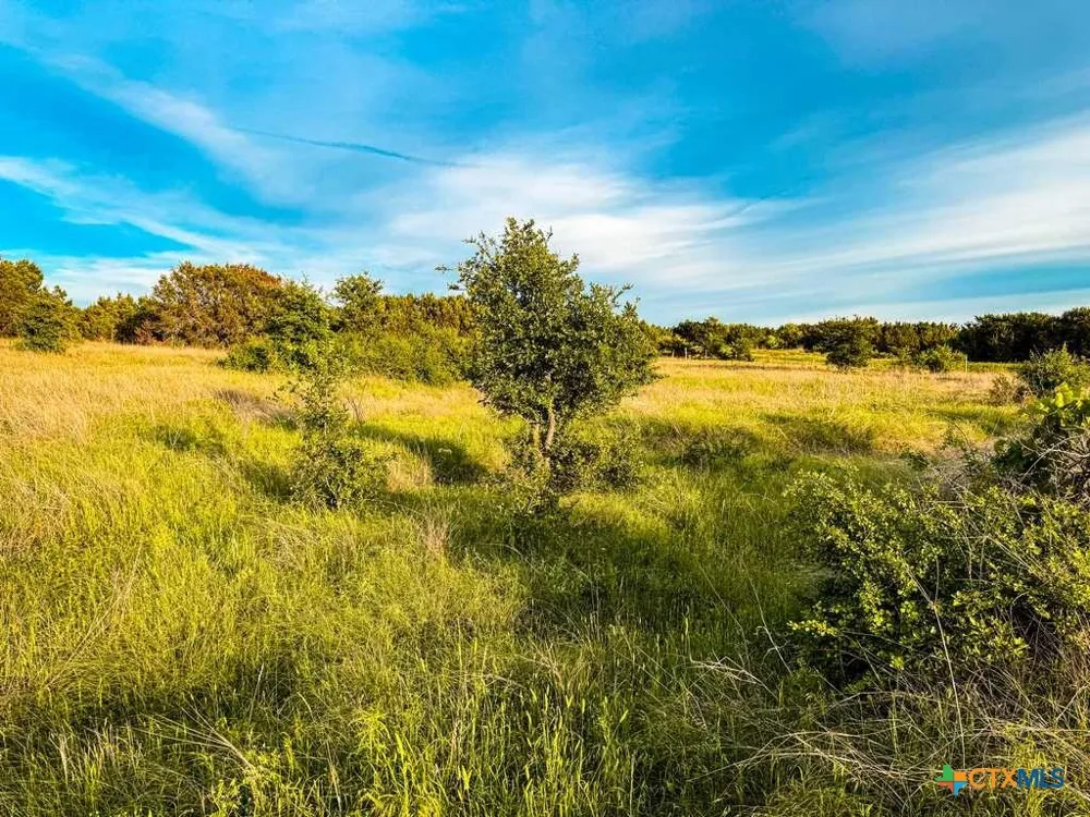 CR 96 Purmela, TX 76566
