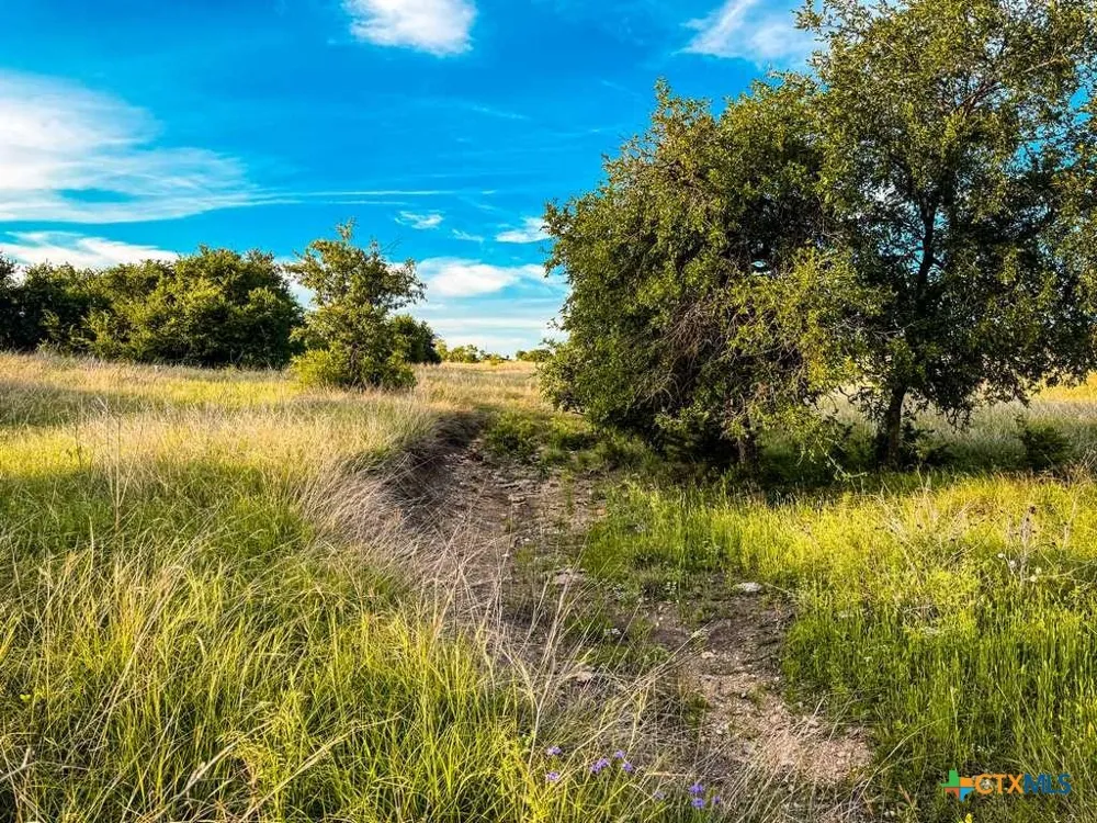 CR 96 Purmela, TX 76566