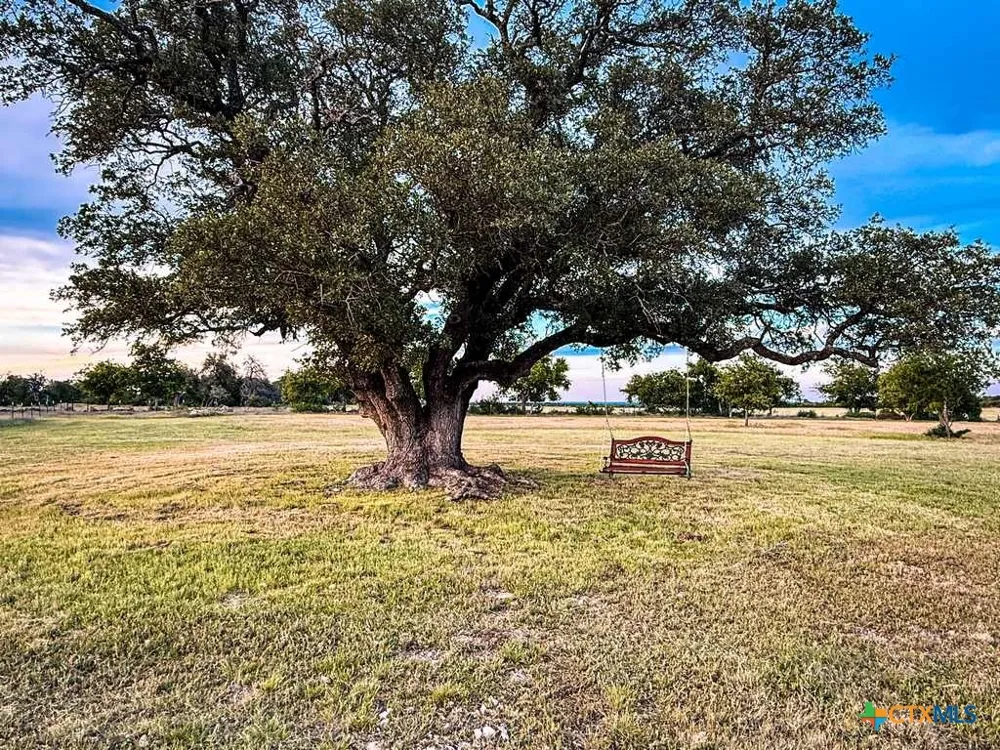CR 96 Purmela, TX 76566