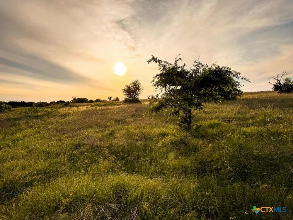 CR 96 Purmela, TX 76566