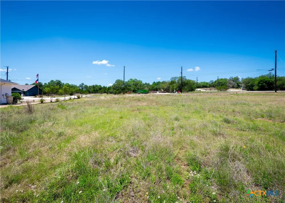 113 Peter Kleid Loop Blanco, TX 78606