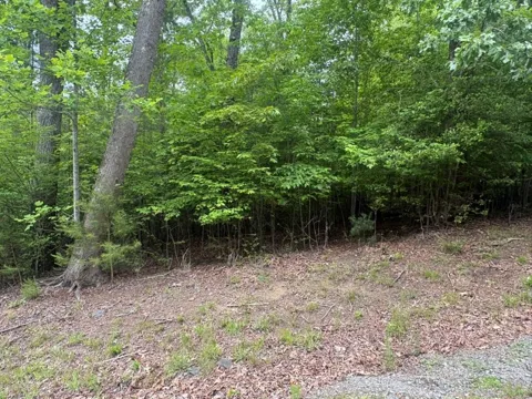 LOT 18 Lost River Trail