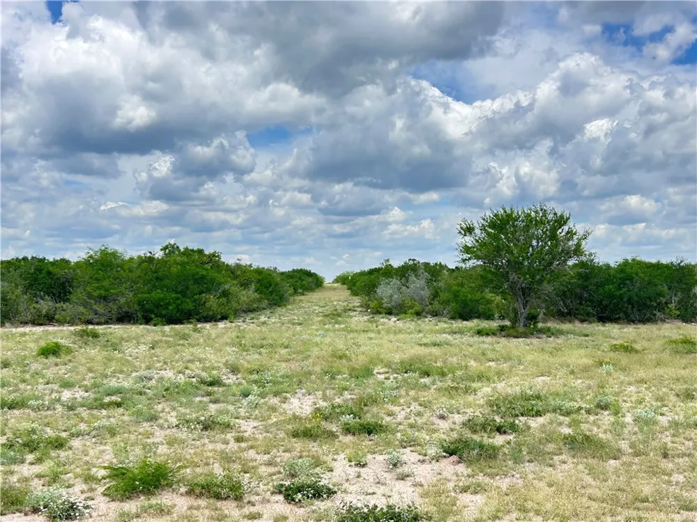 TBD San Diego, TX 78384